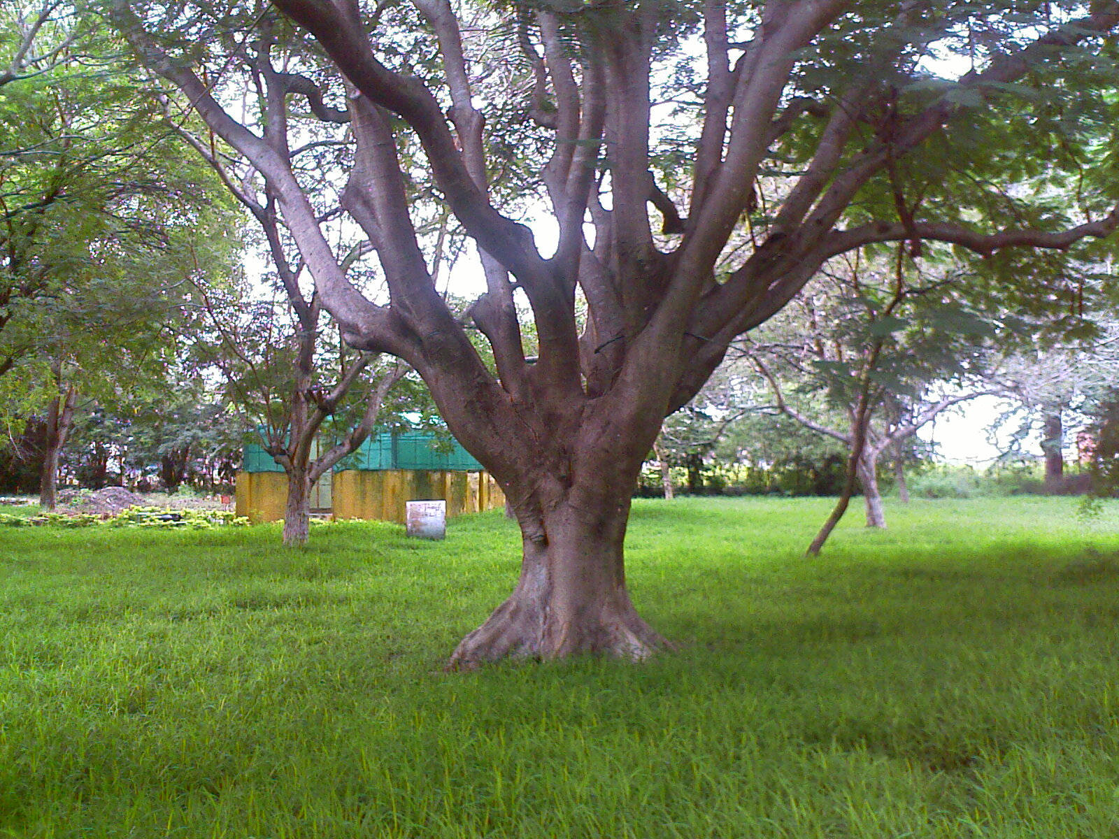 TNAU Botanical Garden Coimbatore Destination Infinity