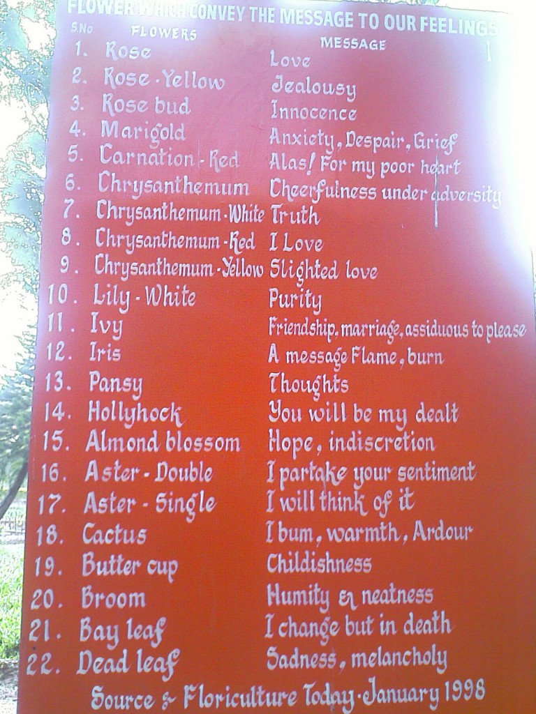 IMAGE_829b list of flowers and the message they convey to our feelings