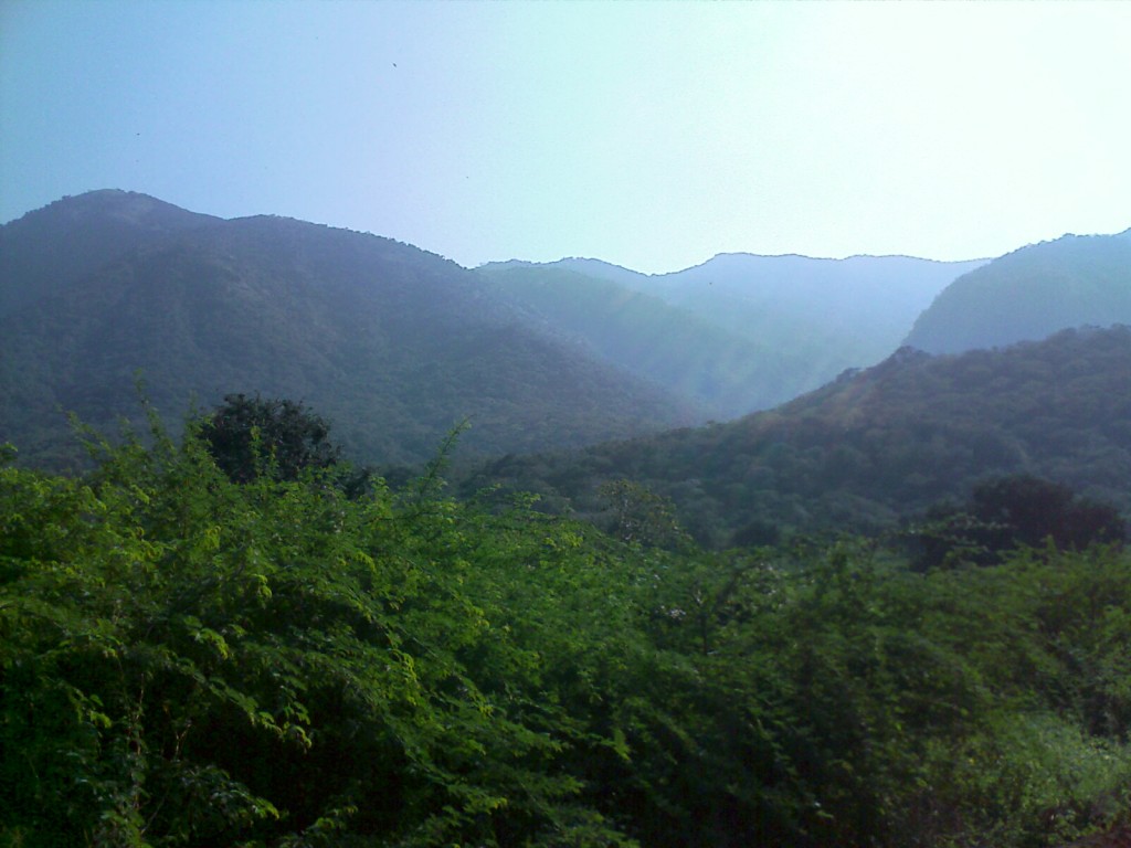 Balamalai, a hill in coimbatore for tourists