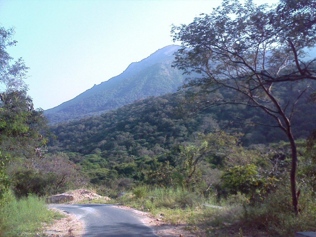 Palamalai Mountain Coimbatore - hill view