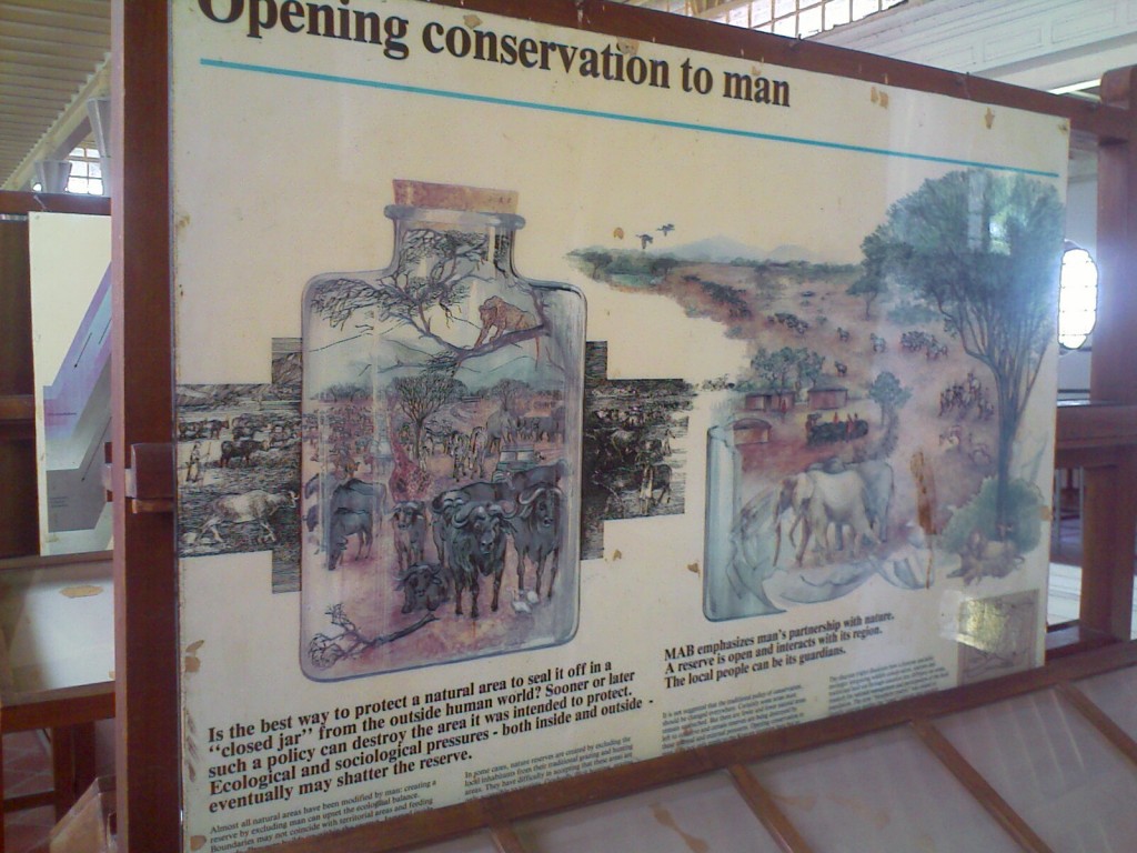conservation parks for wild animals - is it good or bad?